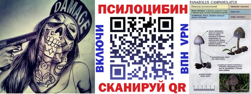 Купить  Медынь  Псилоцибиновые грибы мухоморы 
